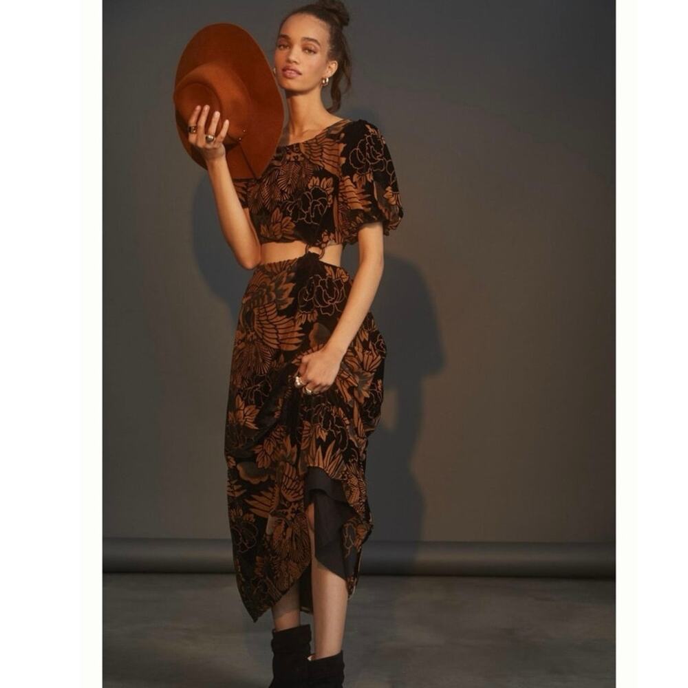 Anthropologie Let Me Be Burnout Velvet Cutout Maxi Floral Dress XSP XS Petite